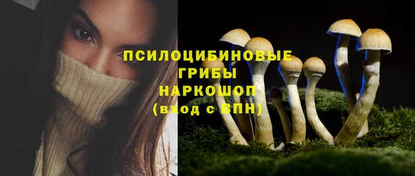 бутират Зеленодольск