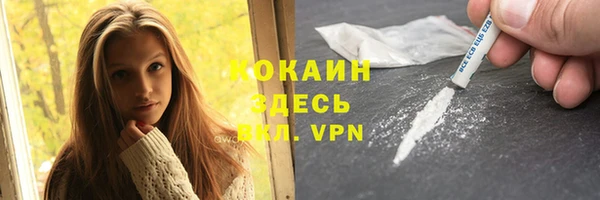 PSILOCYBIN Гусиноозёрск
