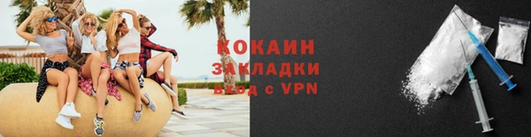 твердый Абаза