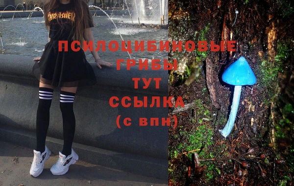 твердый Абаза