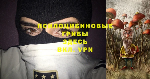 сатива Абинск
