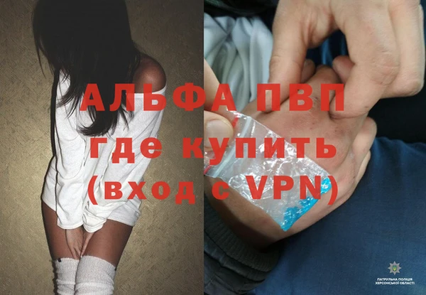 сатива Абинск