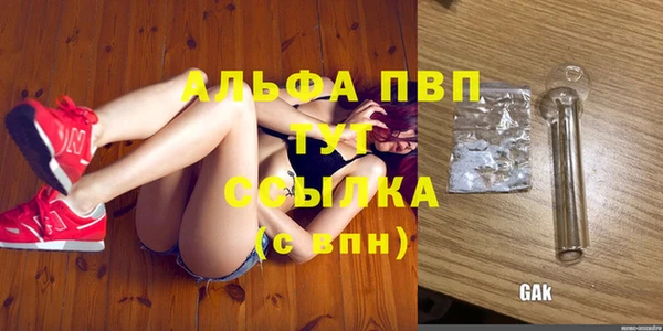 твердый Абаза