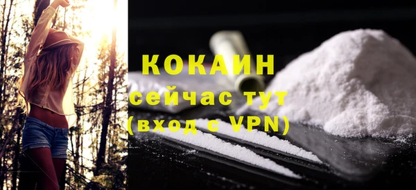 твердый Абаза