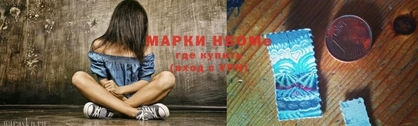 сатива Абинск