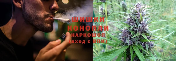 сатива Абинск