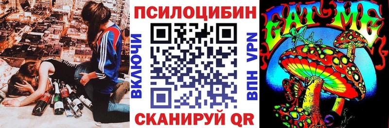 цены   Вытегра  Псилоцибиновые грибы Psilocybine cubensis 