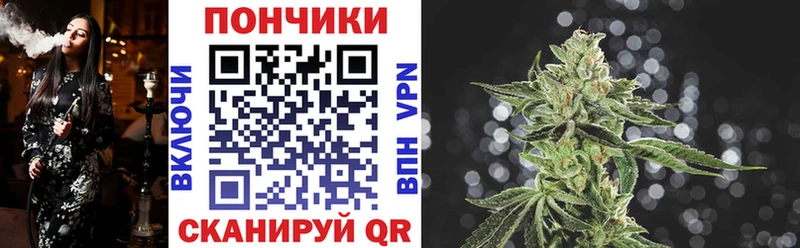 Марихуана план  МЕГА ССЫЛКА  Вытегра 